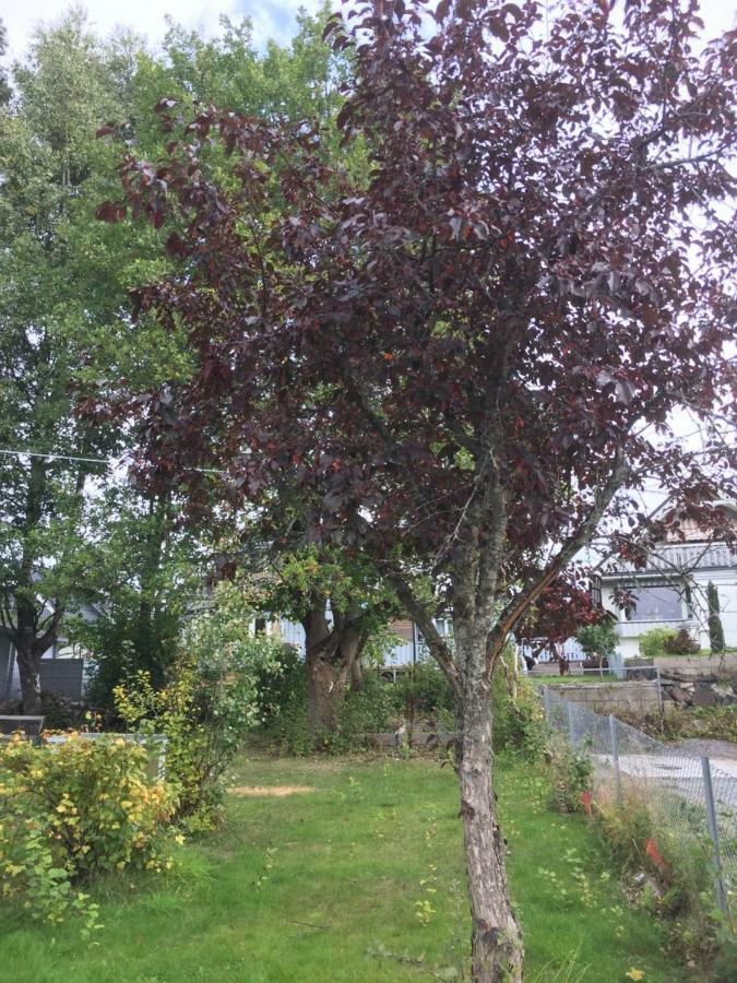 Skarer Veie 58 Appartamento Lorenskog Esterno foto